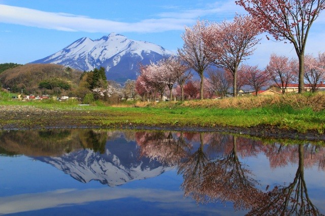 里山の並木道