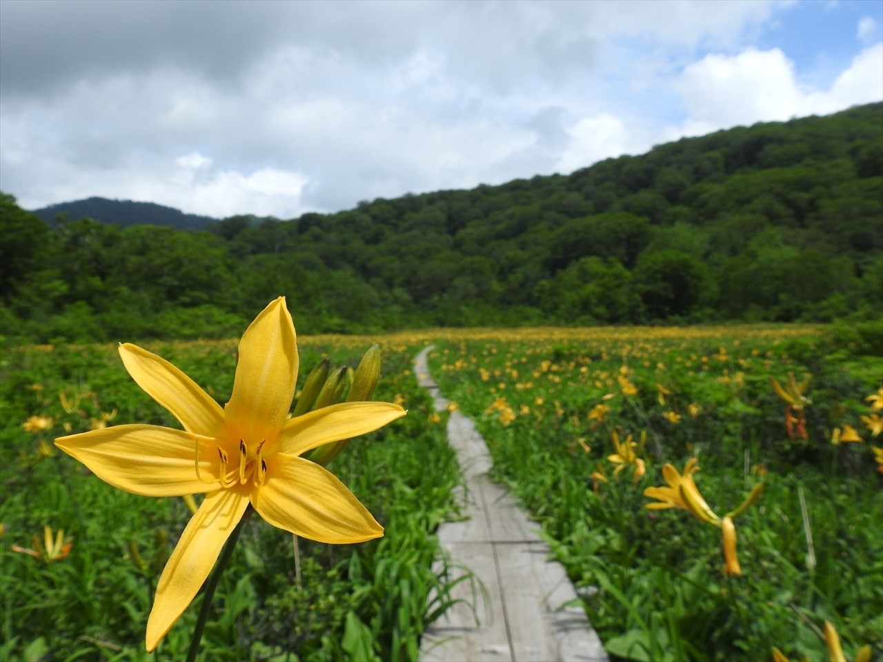 Fujisato Komagatake and Tananashiro Wetland (Fujisato -cho, Akita Prefecture)