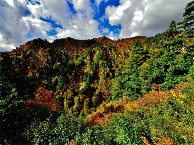 釣瓶落峠　紅葉1