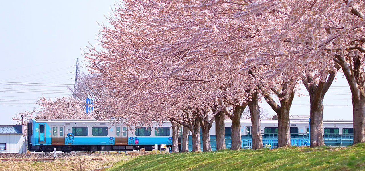 รถไฟอาโออิโมริ 【อาโออิโมริทัวร์ริสพาส ตั๋ว 1 วันสำหรับชาวต่างชาติที่มาเที่ยวญี่ปุ่น 】