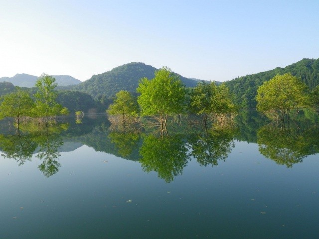 【更新】錦秋湖の水没林（湖面から）