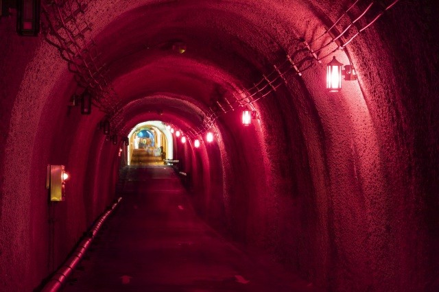 マ・ヤンソン / MADアーキテクツ「Tunnel of Light」（大地の芸術祭作品）  Photoby_NakamuraOsamu