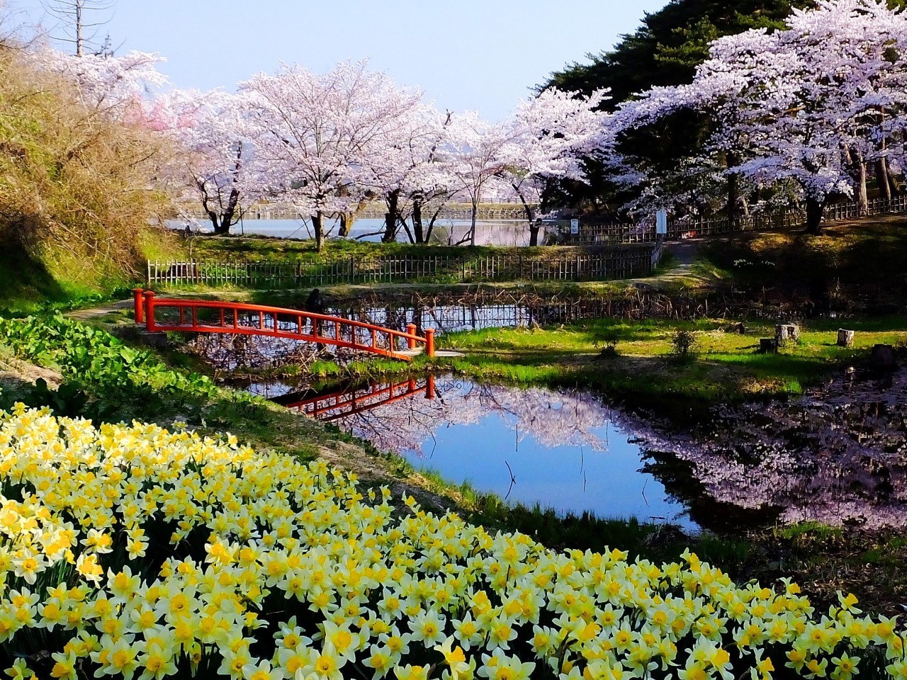 伊達のふる里桜まつり