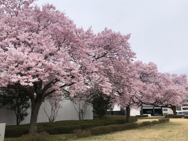 福島県立博物館