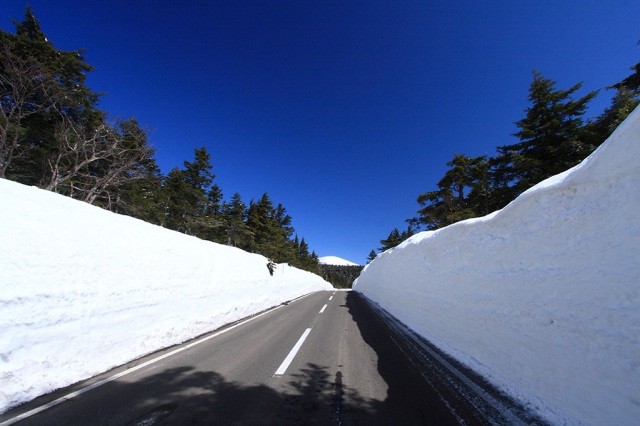 磐梯吾妻スカイライン（雪の回廊）