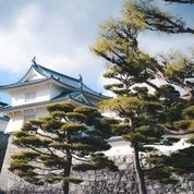二本松の歴史文化をとことん知ろう！二本松城散策（日本語ガイド付き）