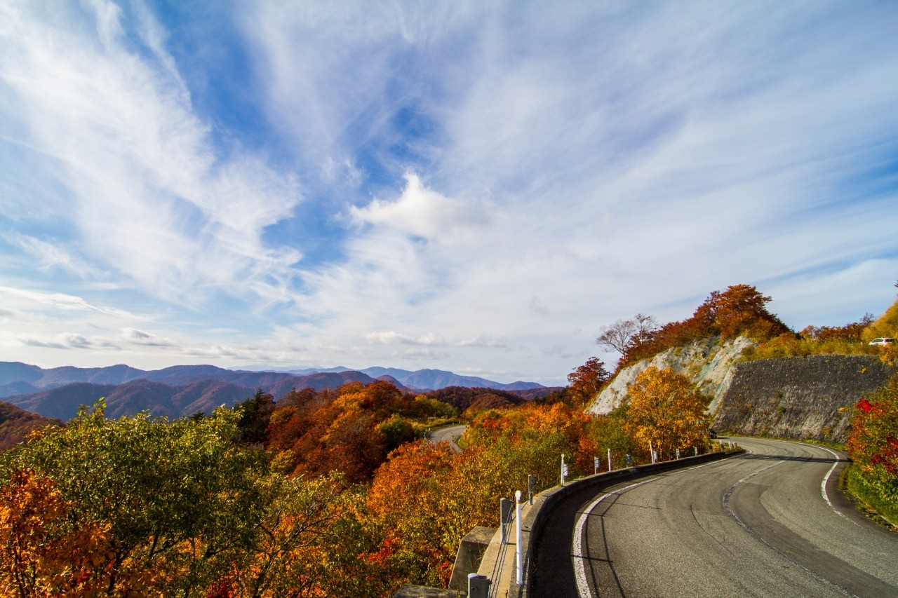 Nishi -Azuma Sky Valley autumn leaves