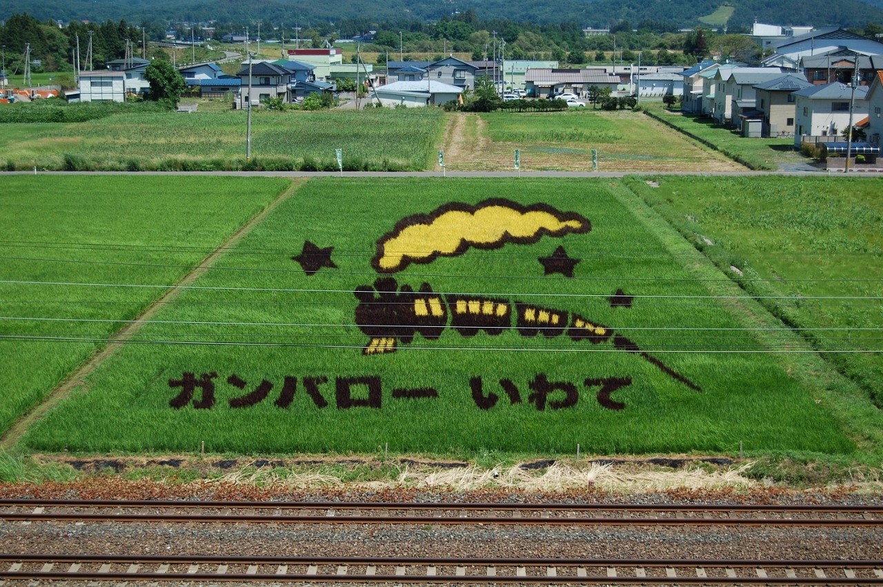  Yawata field art (Ishitani, Hanamaki City)