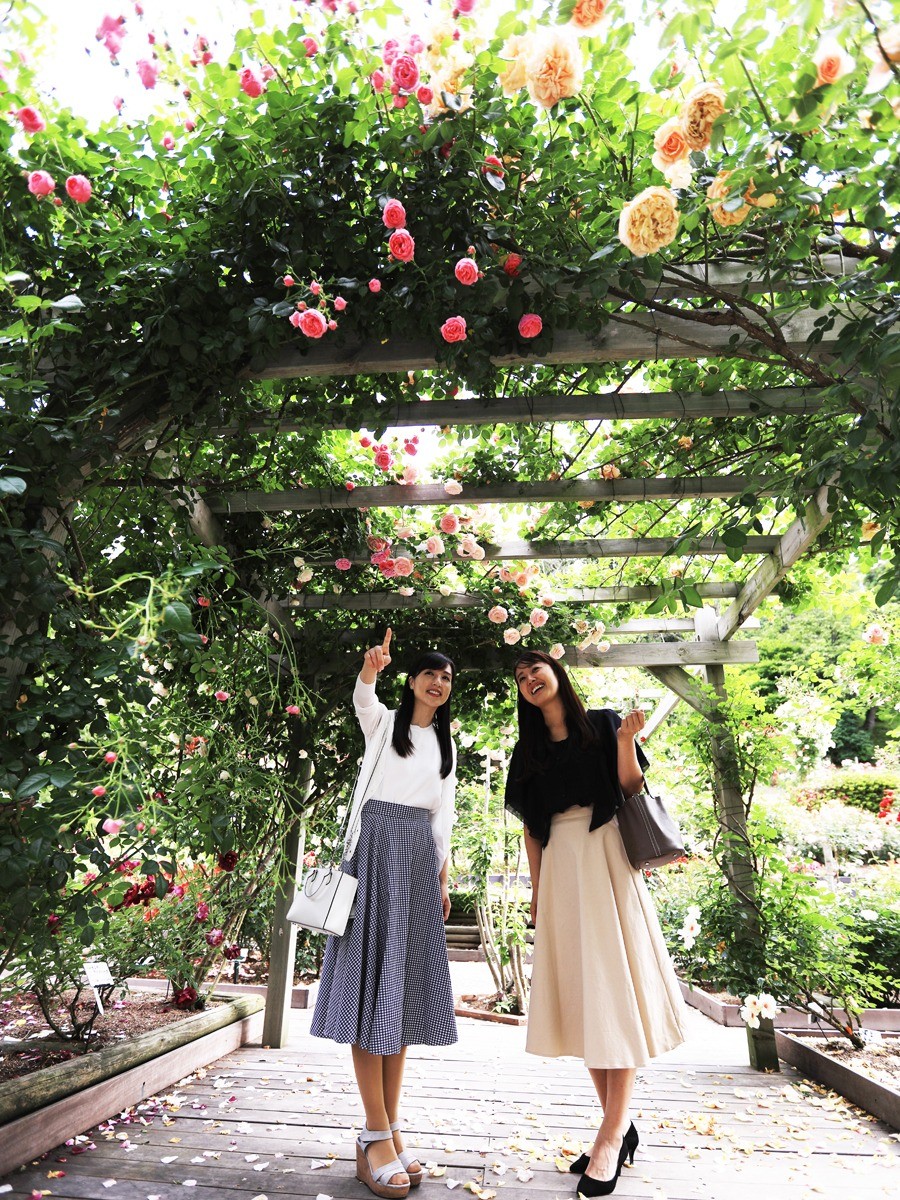  Hanamaki Onsen Rose Garden / Kenji Miyazawa Date Clock