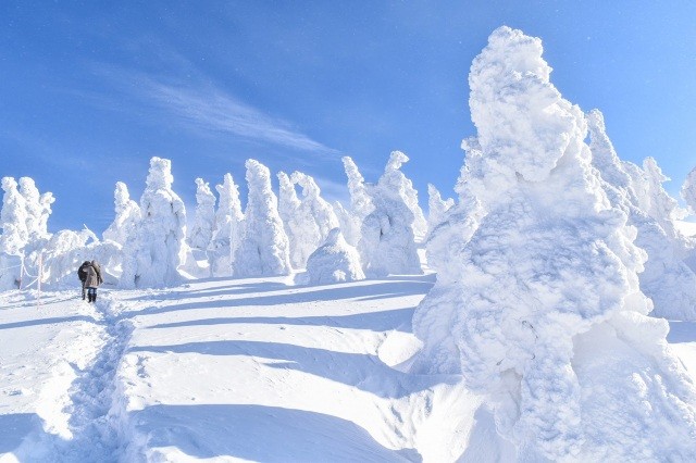 森吉山の樹氷①
