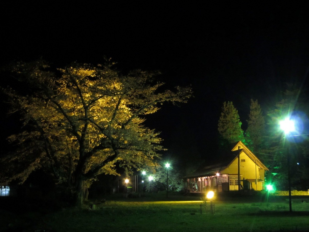 日中線記念館桜のライトアップ