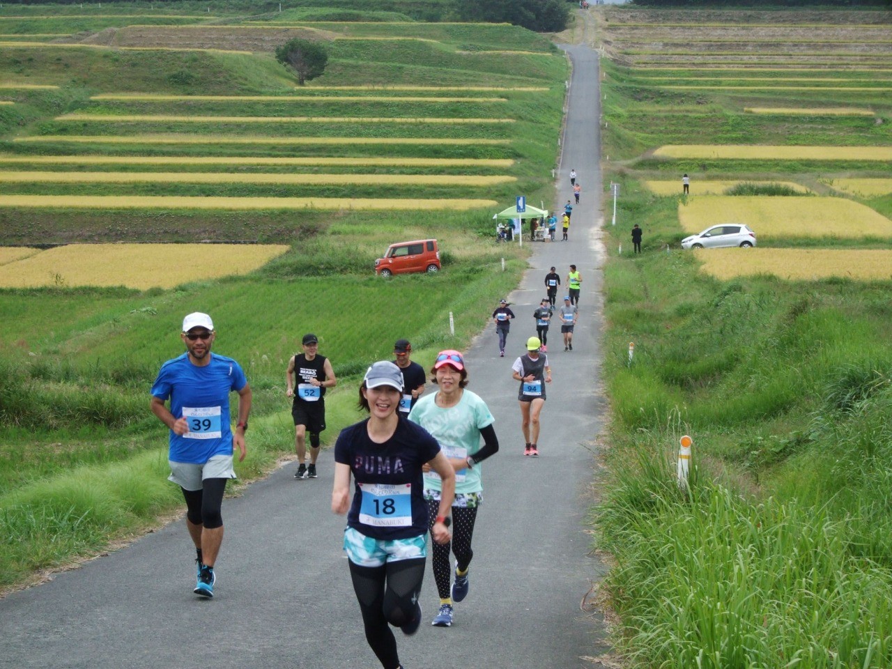 Towa rice terraces Run leisurely