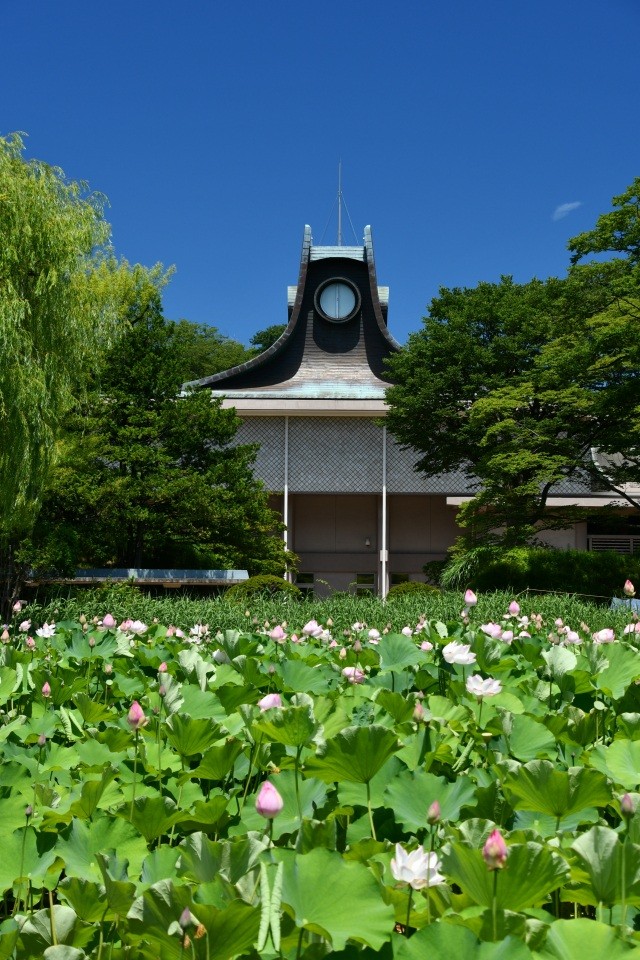 施設外観