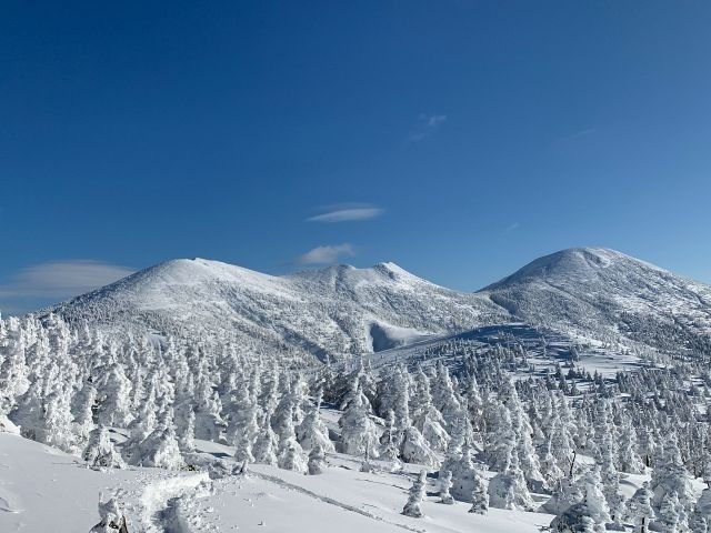 Hakkoda trees tour on a ropeway