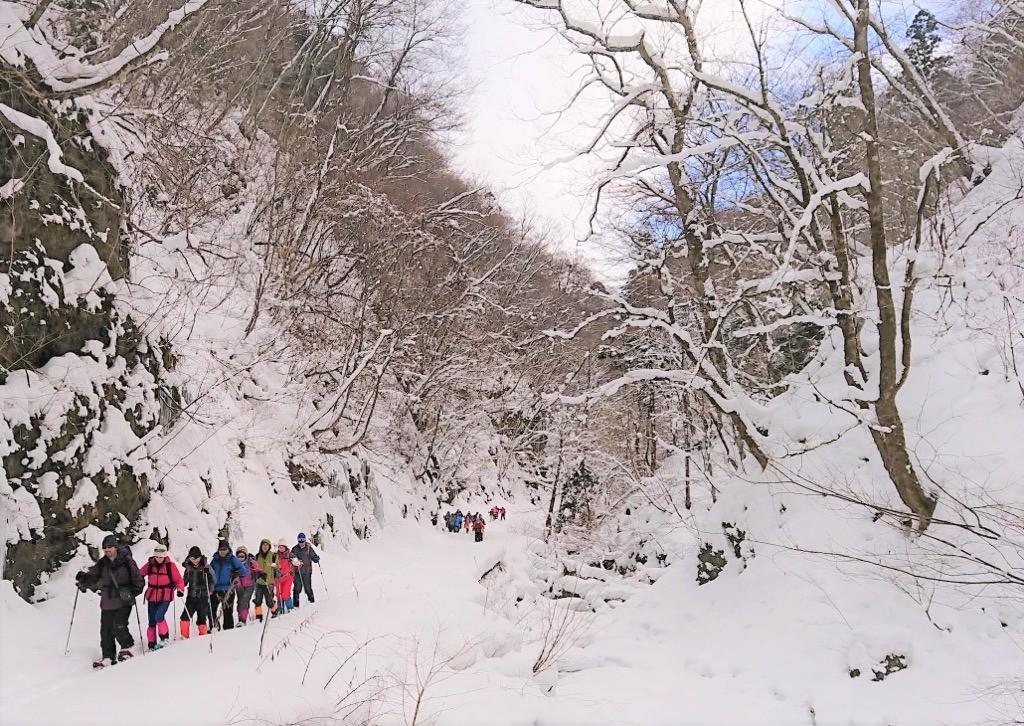 Shirakami Snow Trekking!