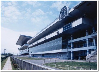 JRA Niigata Racecourse