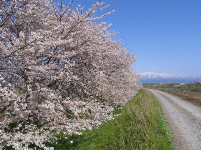 市島邸