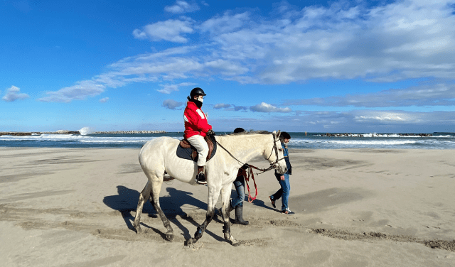 乗馬しながら海トレッキング