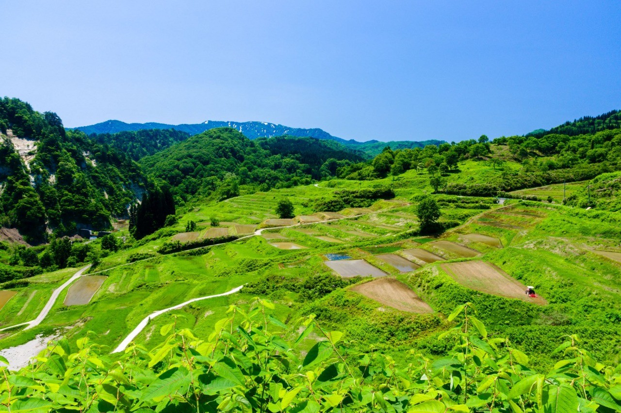 Hijiori Onsen, Yamagata Prefecture] Experience the magnificent nature! A mini-tour of the beautiful terraced rice paddies and beech forests of the four villages!